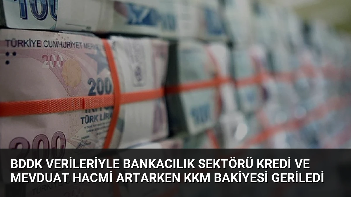 BDDK Verileriyle Bankacılık Sektörü Kredi ve Mevduat Hacmi Artarken KKM Bakiyesi Geriledi