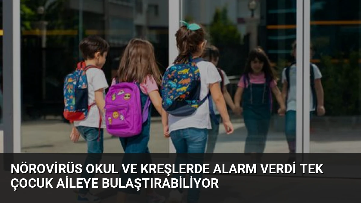 Nörovirüs Okul ve Kreşlerde Alarm Verdi Tek Çocuk Aileye Bulaştırabiliyor
