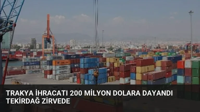 Trakya İhracatı 200 Milyon Dolara Dayandı Tekirdağ Zirvede