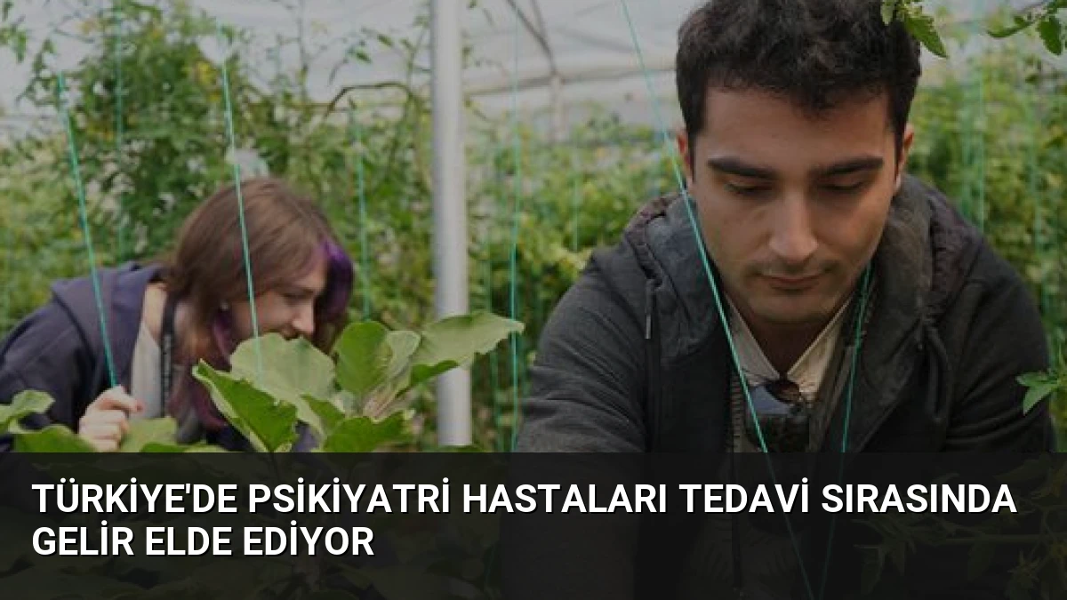 Türkiye’de Psikiyatri Hastaları Tedavi Sırasında Gelir Elde Ediyor