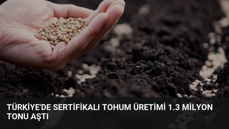 Türkiye’de Sertifikalı Tohum Üretimi 1.3 Milyon Tonu Aştı