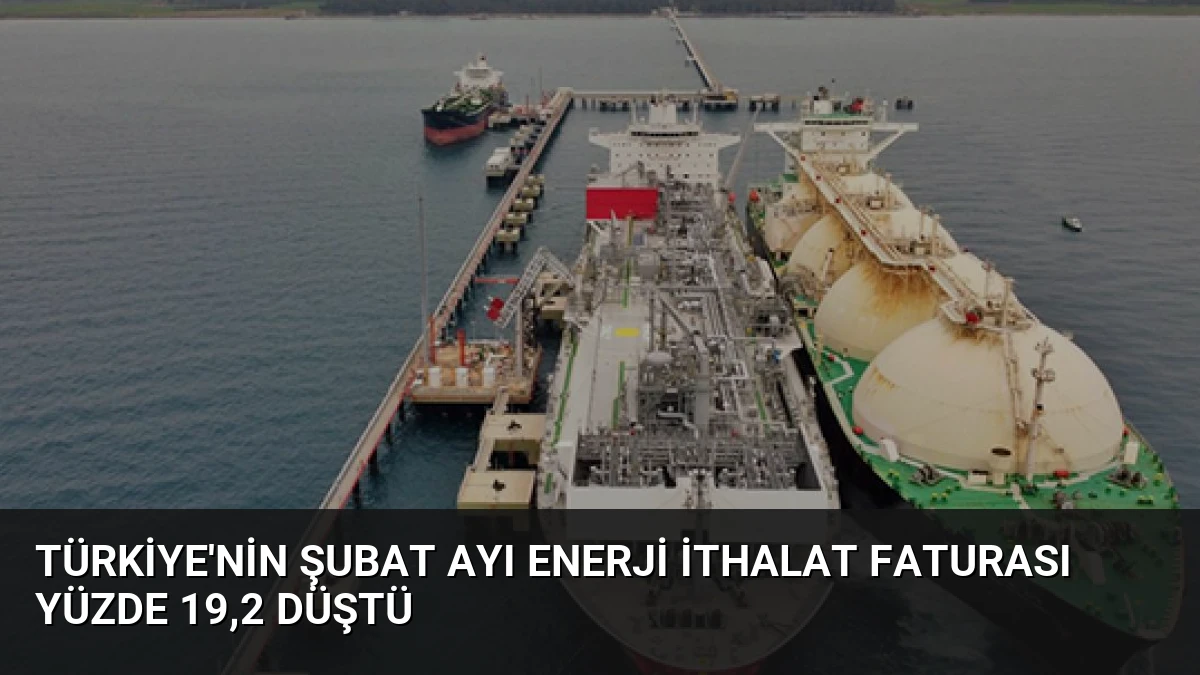 Türkiye’nin Şubat Ayı Enerji İthalat Faturası Yüzde 19,2 Düştü