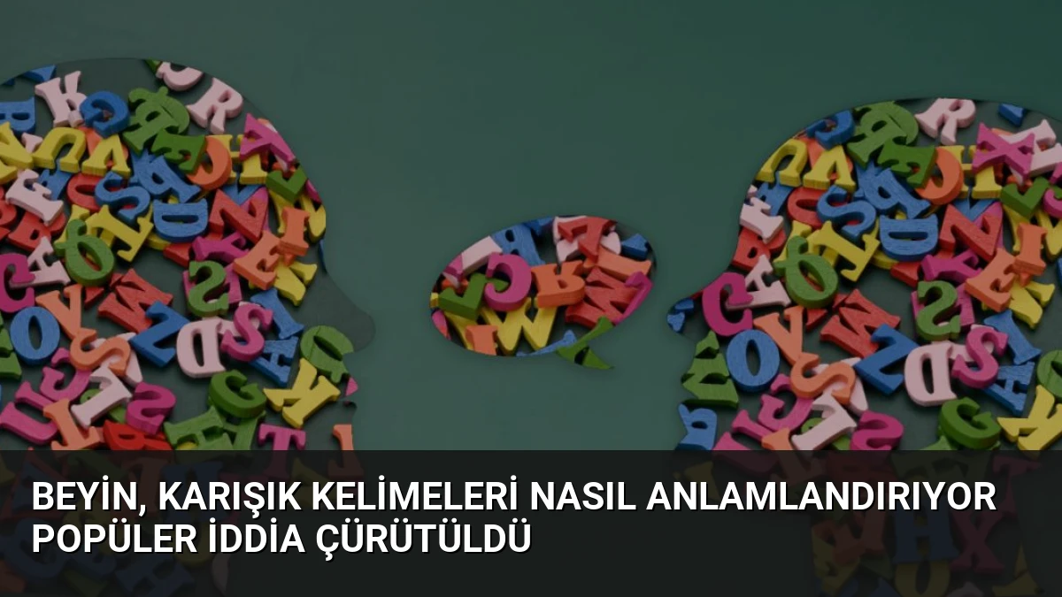 Beyin, Karışık Kelimeleri Nasıl Anlamlandırıyor Popüler İddia Çürütüldü
