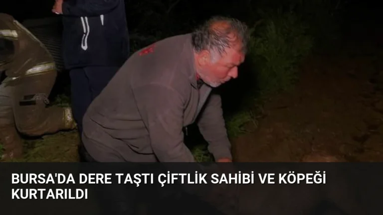 Bursa’da Dere Taştı Çiftlik Sahibi ve Köpeği Kurtarıldı