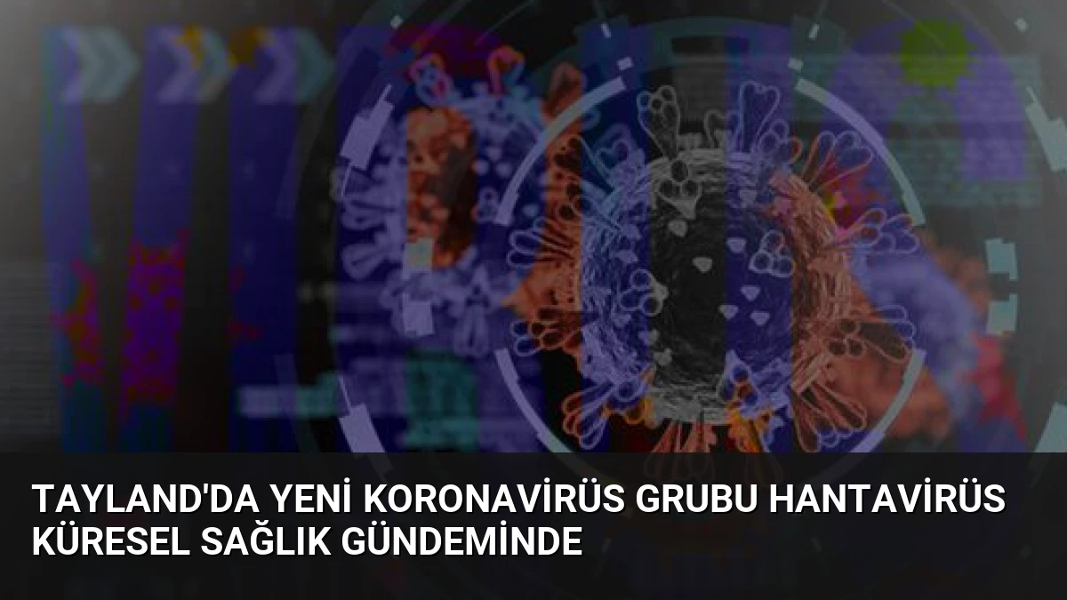 Tayland’da Yeni Koronavirüs Grubu Hantavirüs Küresel Sağlık Gündeminde