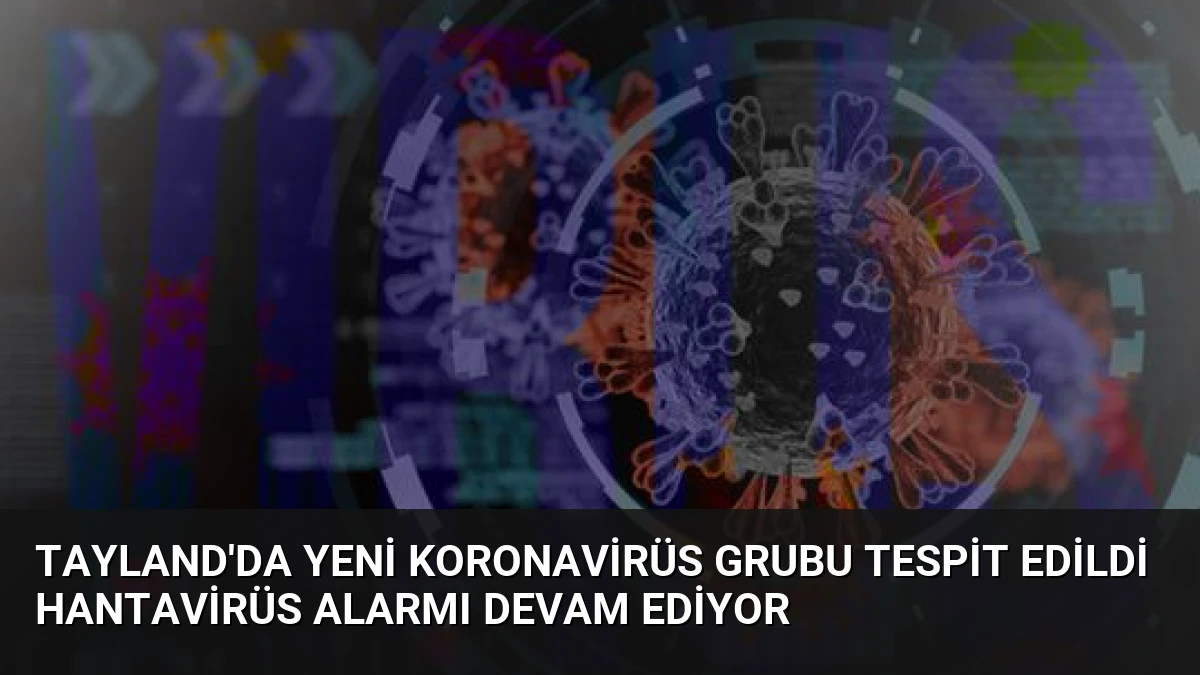 Tayland’da Yeni Koronavirüs Grubu Tespit Edildi Hantavirüs Alarmı Devam Ediyor
