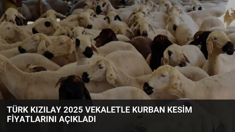 Türk Kızılay 2025 Vekaletle Kurban Kesim Fiyatlarını Açıkladı