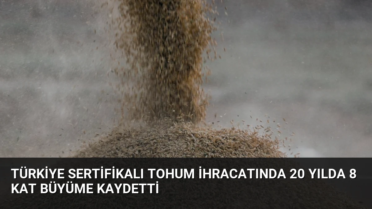 Türkiye Sertifikalı Tohum İhracatında 20 Yılda 8 Kat Büyüme Kaydetti