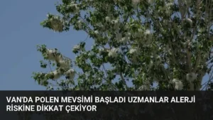Van’da Polen Mevsimi Başladı Uzmanlar Alerji Riskine Dikkat Çekiyor