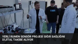 Yerli Rumen Sensör Projesi Sığır Sağlığını Dijital Takibe Alıyor