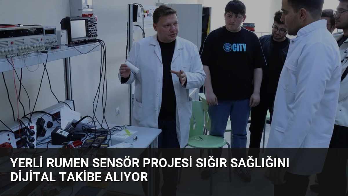 Yerli Rumen Sensör Projesi Sığır Sağlığını Dijital Takibe Alıyor