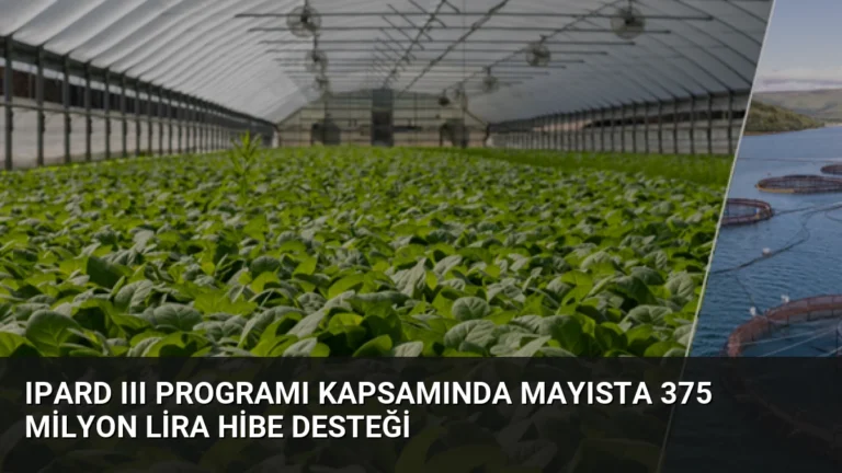 IPARD III Programı Kapsamında Mayısta 375 Milyon Lira Hibe Desteği
