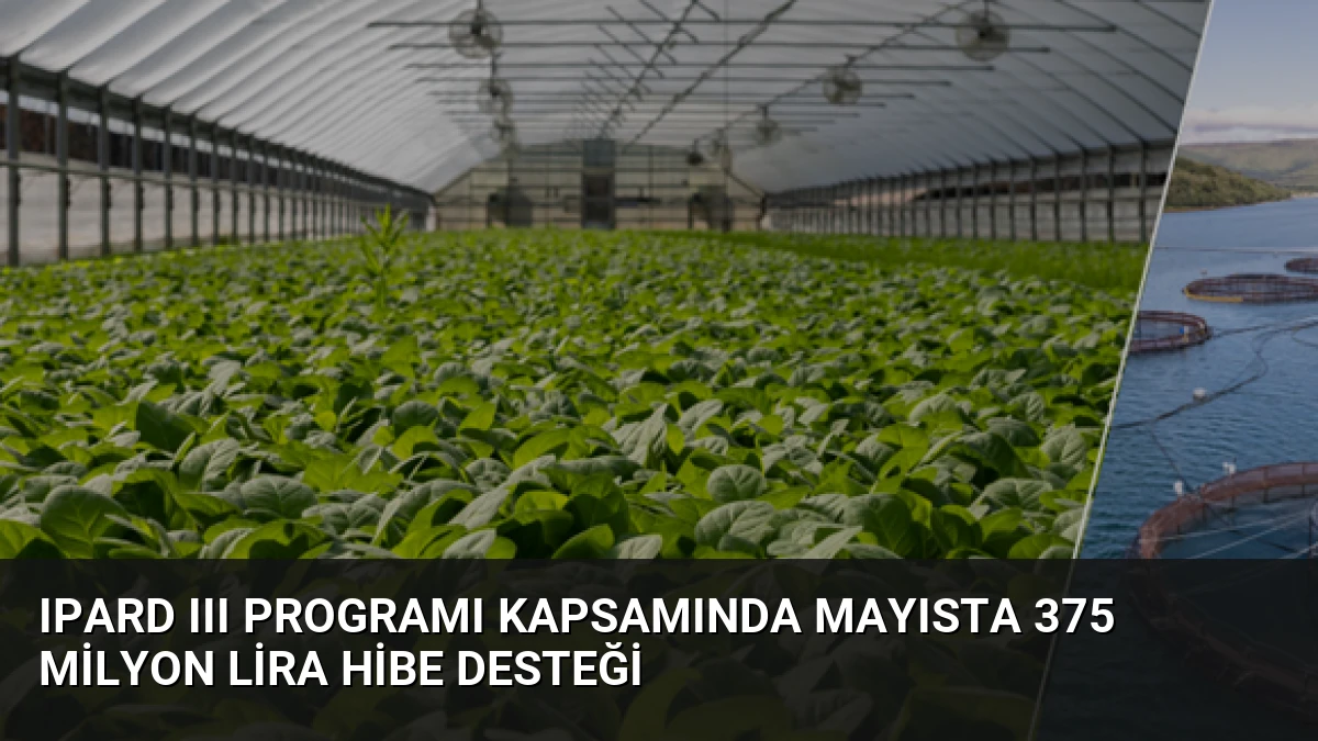 IPARD III Programı Kapsamında Mayısta 375 Milyon Lira Hibe Desteği