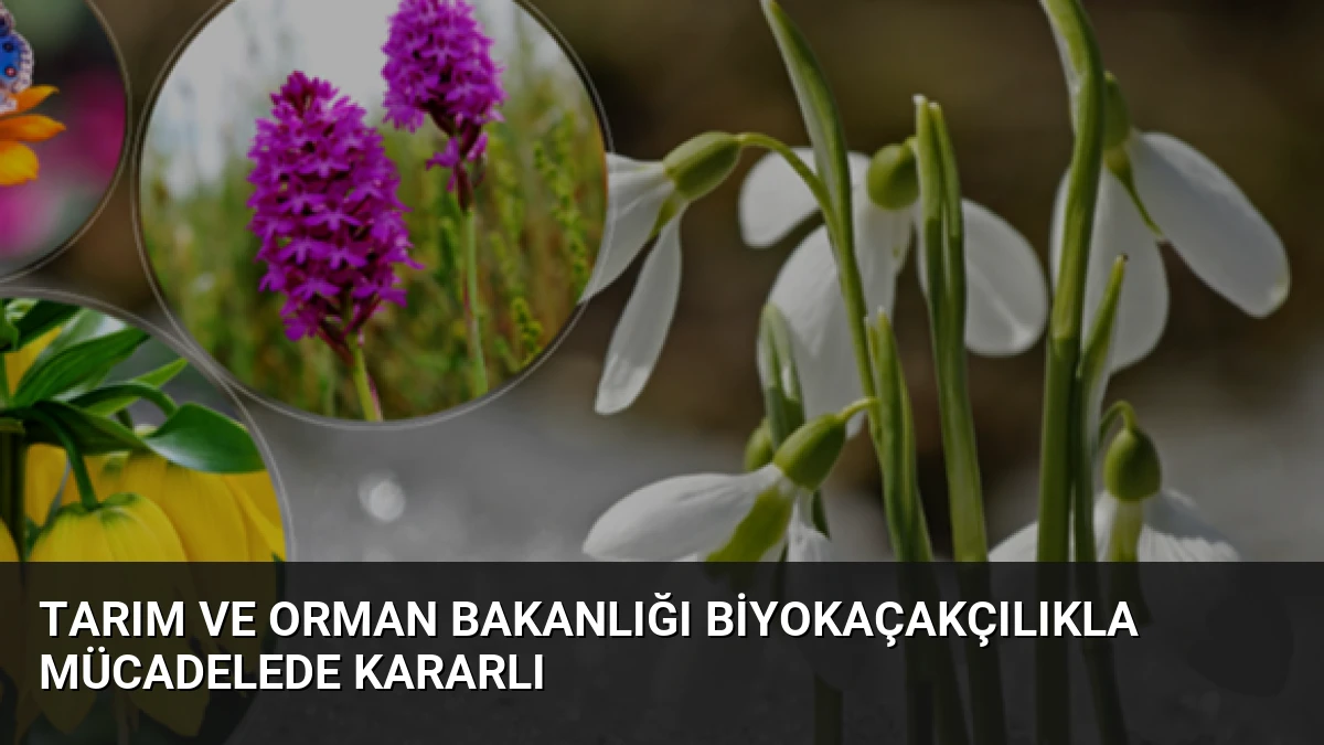 Tarım ve Orman Bakanlığı Biyokaçakçılıkla Mücadelede Kararlı