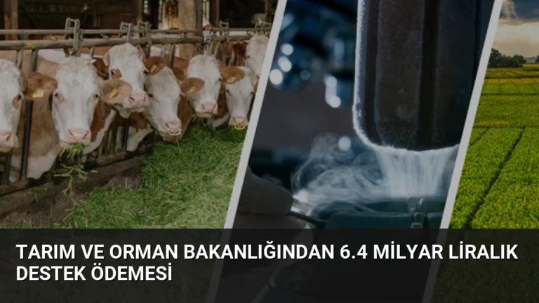 Tarım ve Orman Bakanlığından 6.4 Milyar Liralık Destek Ödemesi