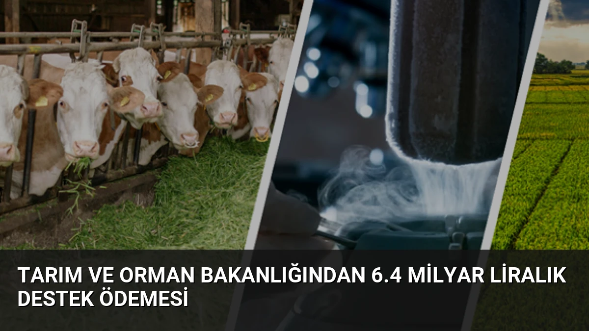 Tarım ve Orman Bakanlığından 6.4 Milyar Liralık Destek Ödemesi