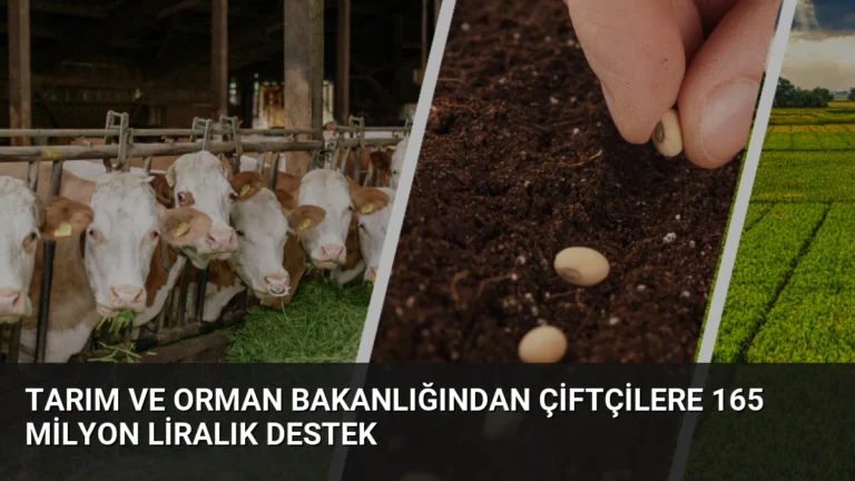 Tarım ve Orman Bakanlığından Çiftçilere 165 Milyon Liralık Destek