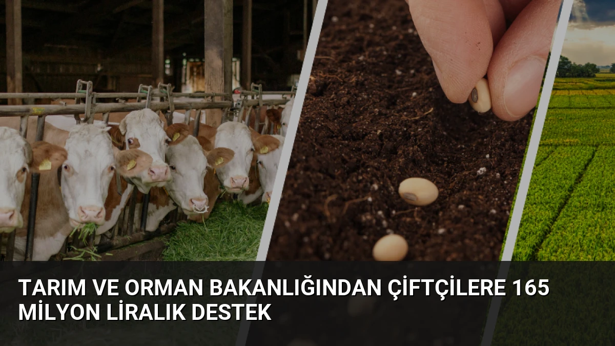 Tarım ve Orman Bakanlığından Çiftçilere 165 Milyon Liralık Destek