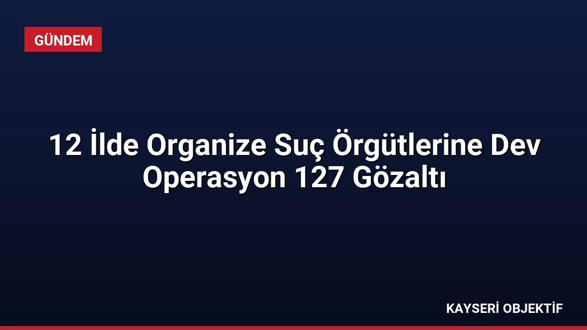 12 İlde Organize Suç Örgütlerine Dev Operasyon 127 Gözaltı