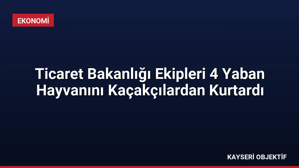 Ticaret Bakanlığı Ekipleri 4 Yaban Hayvanını Kaçakçılardan Kurtardı