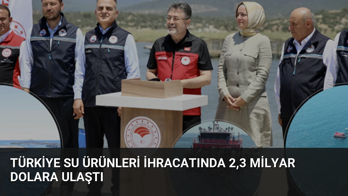 Türkiye Su Ürünleri İhracatında 2,3 Milyar Dolara Ulaştı
