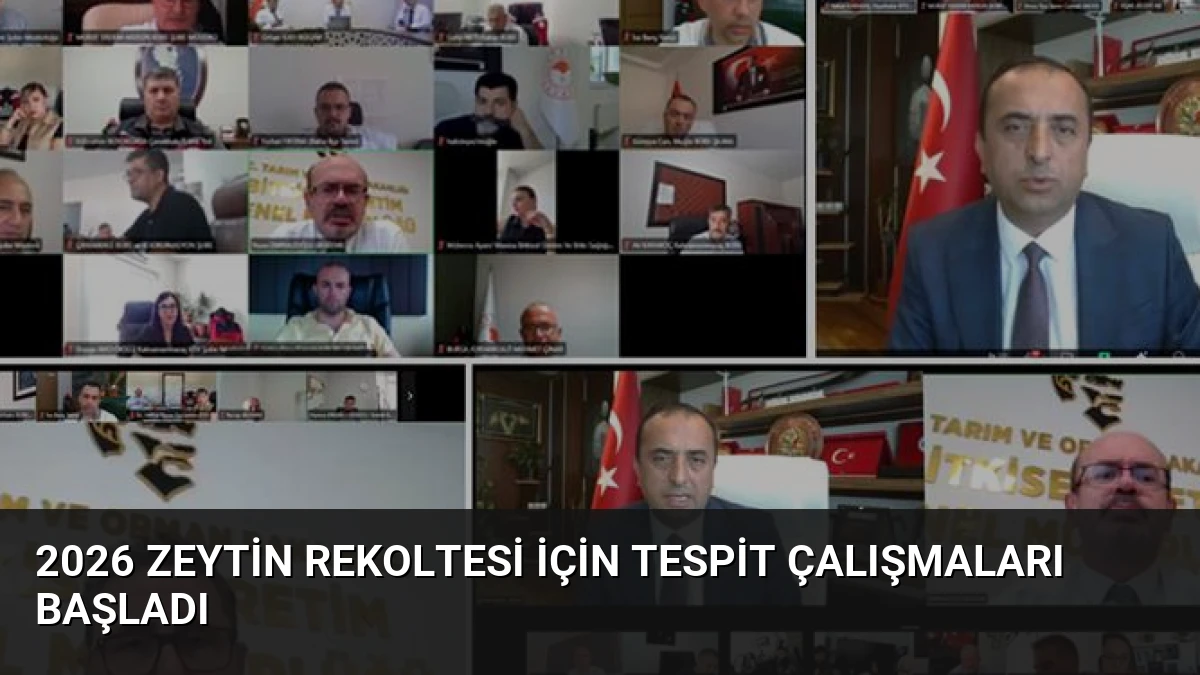 2026 Zeytin Rekoltesi İçin Tespit Çalışmaları Başladı