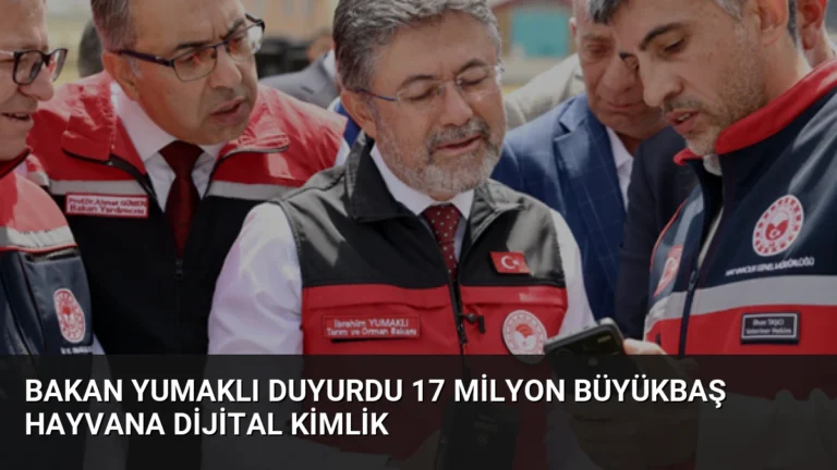 Bakan Yumaklı duyurdu 17 milyon büyükbaş hayvana dijital kimlik