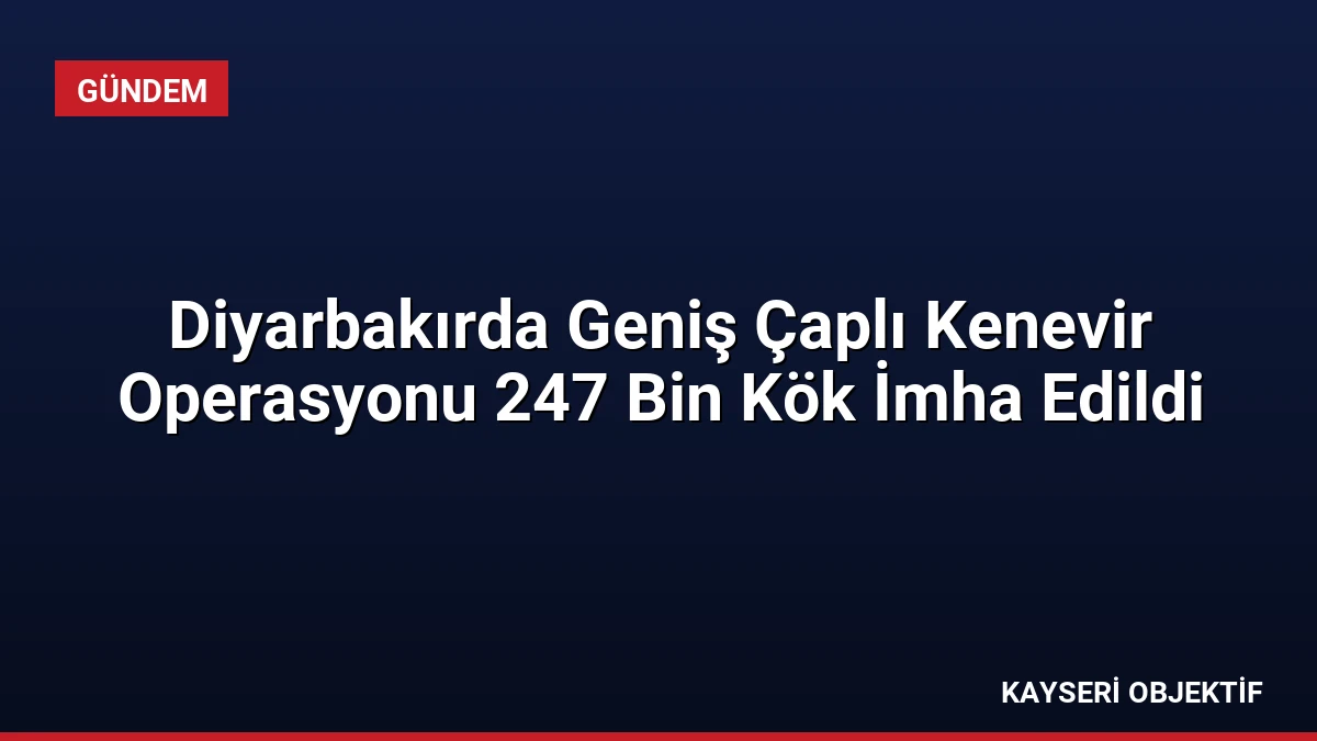 Diyarbakırda Geniş Çaplı Kenevir Operasyonu 247 Bin Kök İmha Edildi