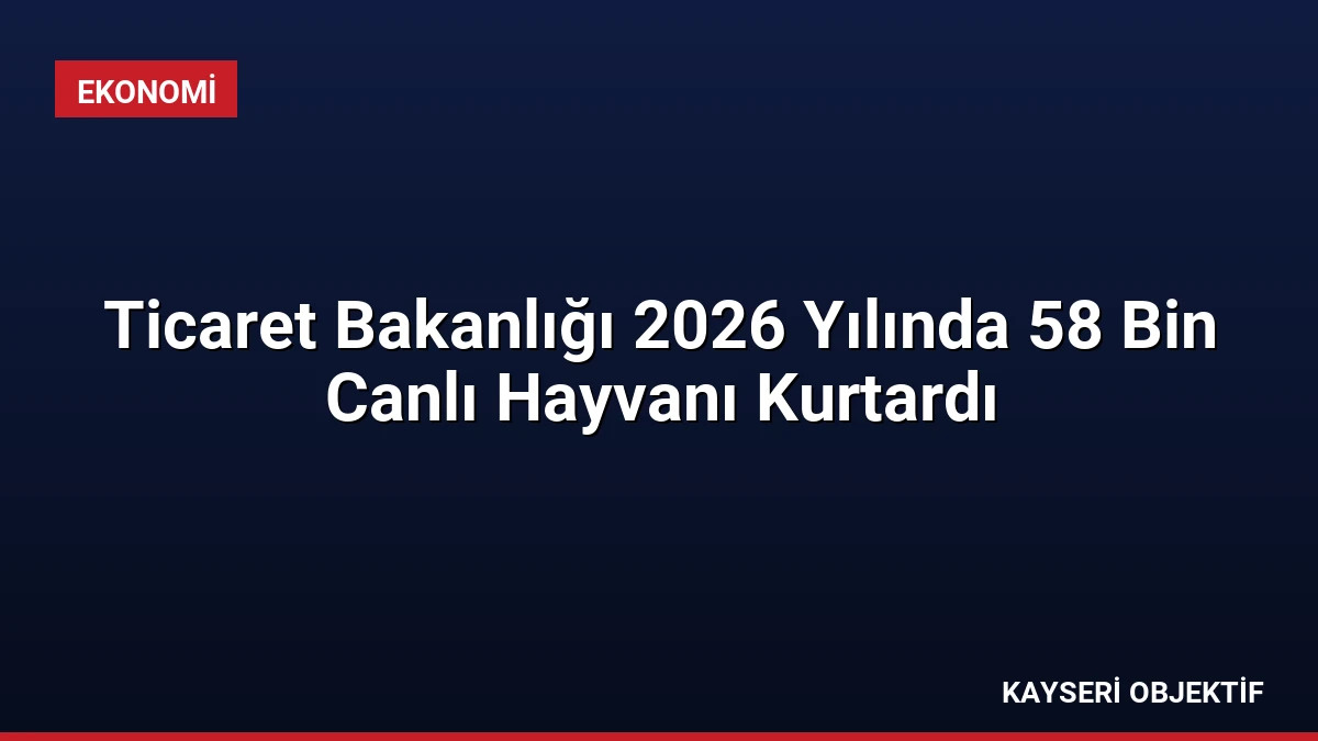 Ticaret Bakanlığı 2026 Yılında 58 Bin Canlı Hayvanı Kurtardı