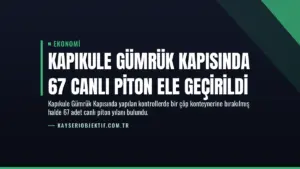 Kapıkule Gümrük Kapısında 67 Canlı Piton Ele Geçirildi