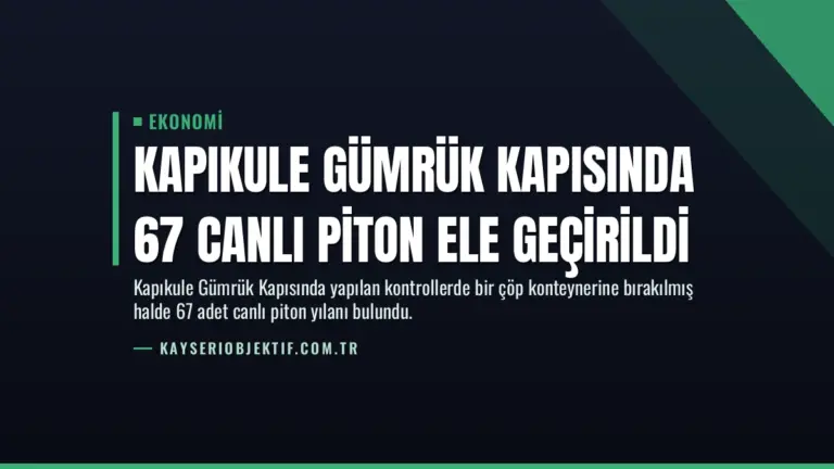Kapıkule Gümrük Kapısında 67 Canlı Piton Ele Geçirildi