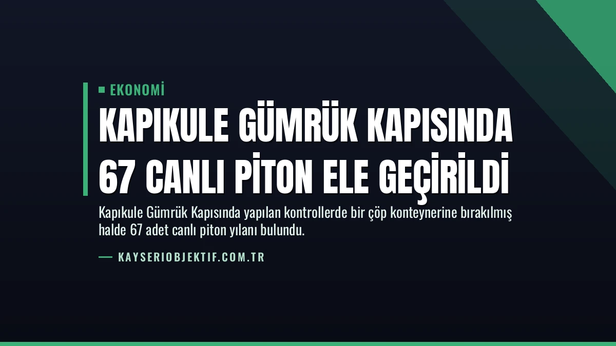 Kapıkule Gümrük Kapısında 67 Canlı Piton Ele Geçirildi